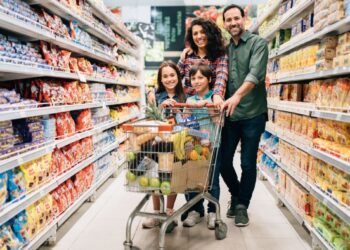 Guia Prático para Consultar e Acessar Seus Benefícios Sociais