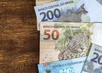 Dinheiro Esquecido no INSS Como Recuperar Créditos sobre Verbas Indenizatórias