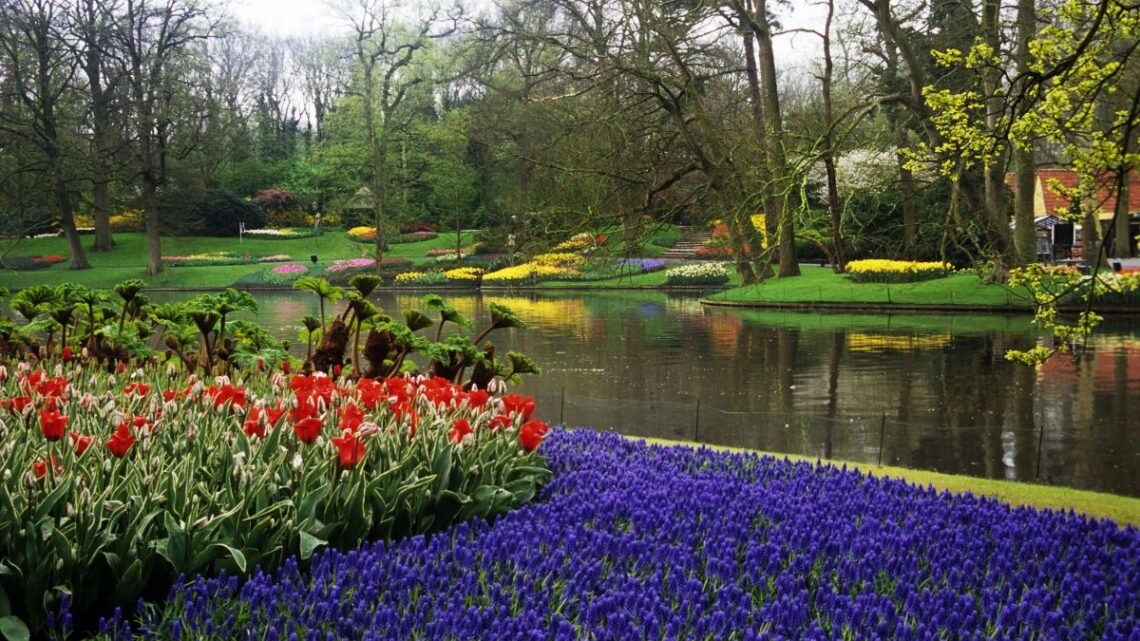 Planejamento sem erro tudo sobre o acesso ao maior jardim da primavera