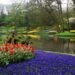 Planejamento sem erro tudo sobre o acesso ao maior jardim da primavera