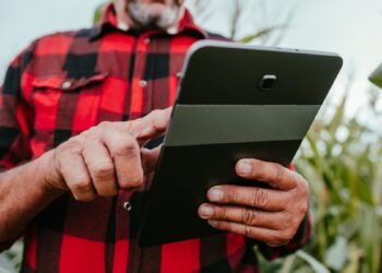Bioeconomia e Agronegócio O BNDES como Alavanca para o Valor Agregado em 2026
