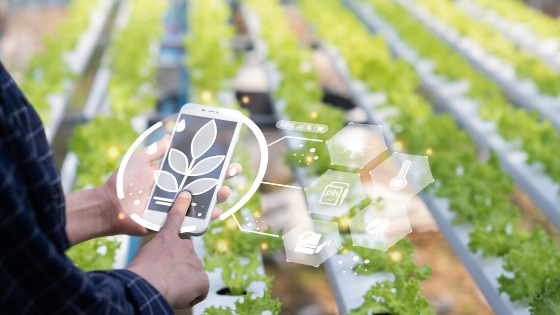 Contabilidade para o Agronegócio e Agrotechs O motor de Piracicaba sob olhar contábil