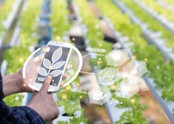 Contabilidade para o Agronegócio e Agrotechs O motor de Piracicaba sob olhar contábil