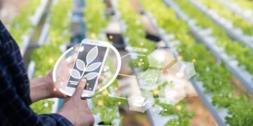 Contabilidade para o Agronegócio e Agrotechs O motor de Piracicaba sob olhar contábil