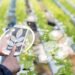 Contabilidade para o Agronegócio e Agrotechs O motor de Piracicaba sob olhar contábil