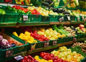 Da Horta para Canoas A Importância do Hortifruti Sazonal na Sua Mesa