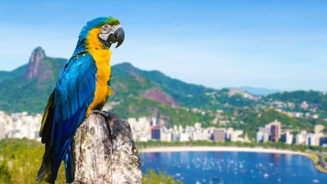 Réveillon 2027 no Rio de Janeiro Por Que a Antecipação é o Seu Melhor Roteiro