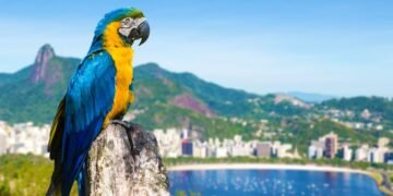 Réveillon 2027 no Rio de Janeiro Por Que a Antecipação é o Seu Melhor Roteiro